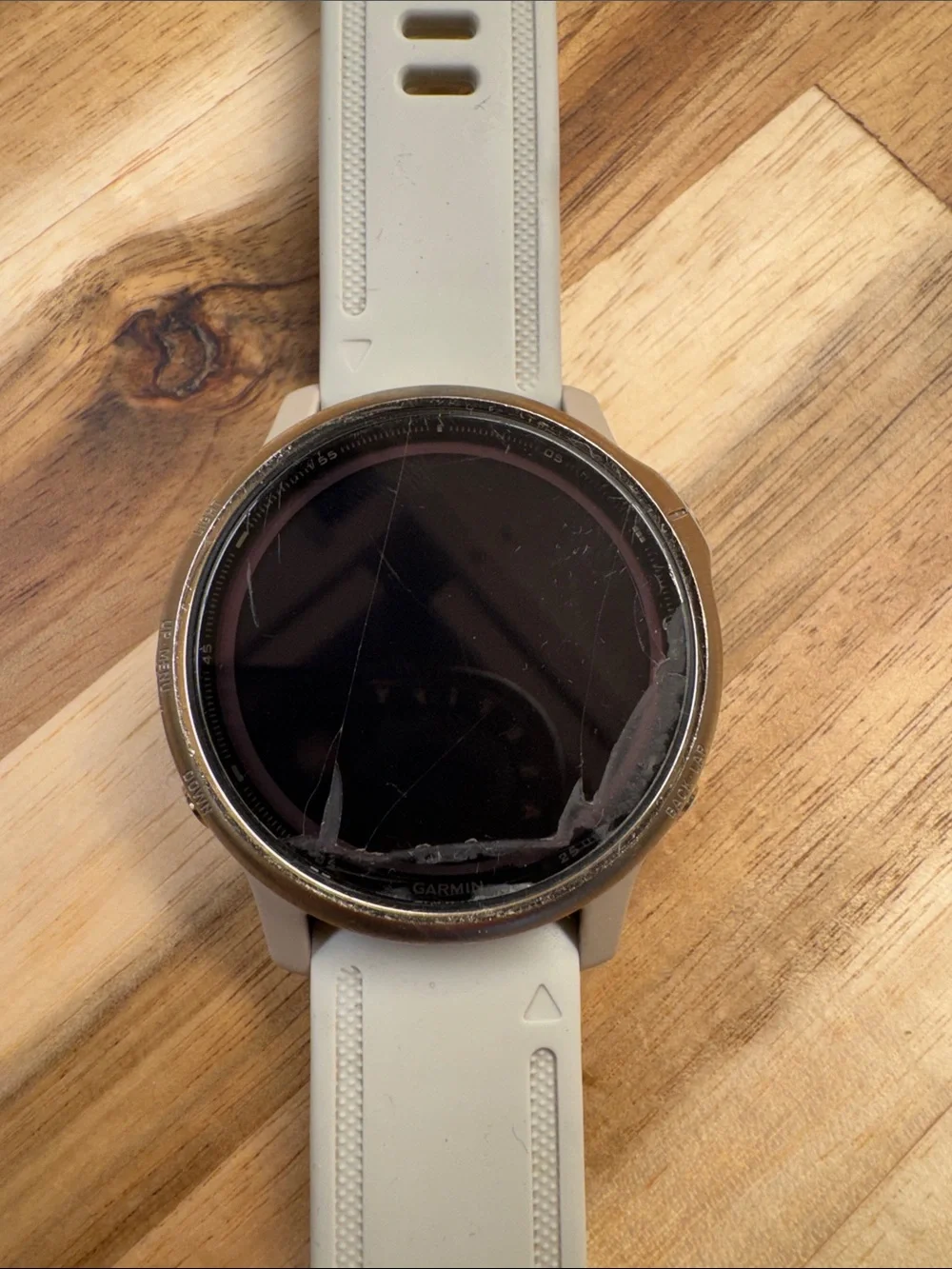 garmin versatile smart